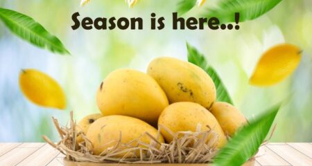 mango season - Urban Square Mall Udaipur